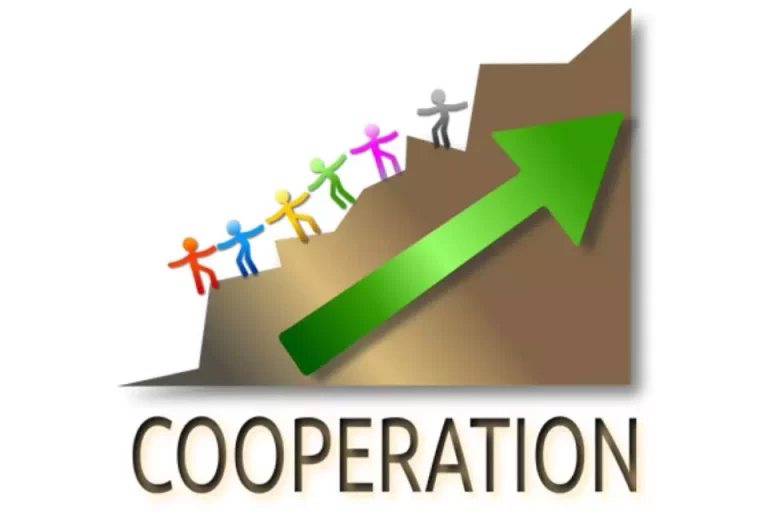 Protocoles nationaux de coop&eacute;ration